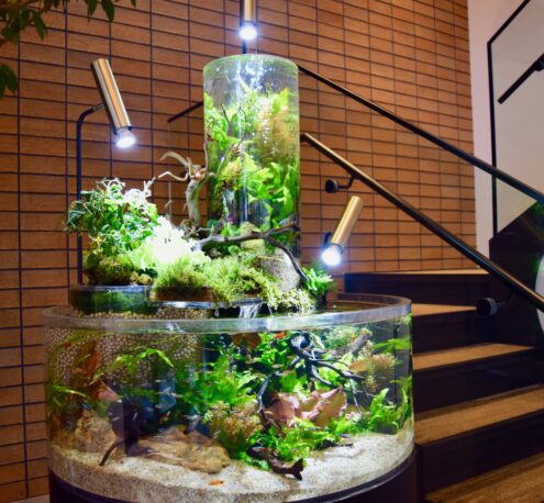 心にあたるアクアリウムをコーディネート 株式会社a A C